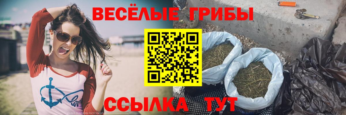 купить  сайты  Галлюциногенные грибы MAGIC MUSHROOMS  Вход с VPN  Королёв 